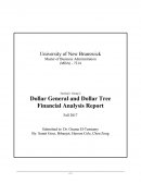 Dollar General and Dollar Tree Financial Analysis Report