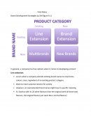 Brand Development Strategies