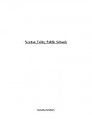 Newton Valley Public Schools - Issue Identification