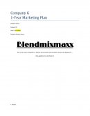 Company G Marketing Plan